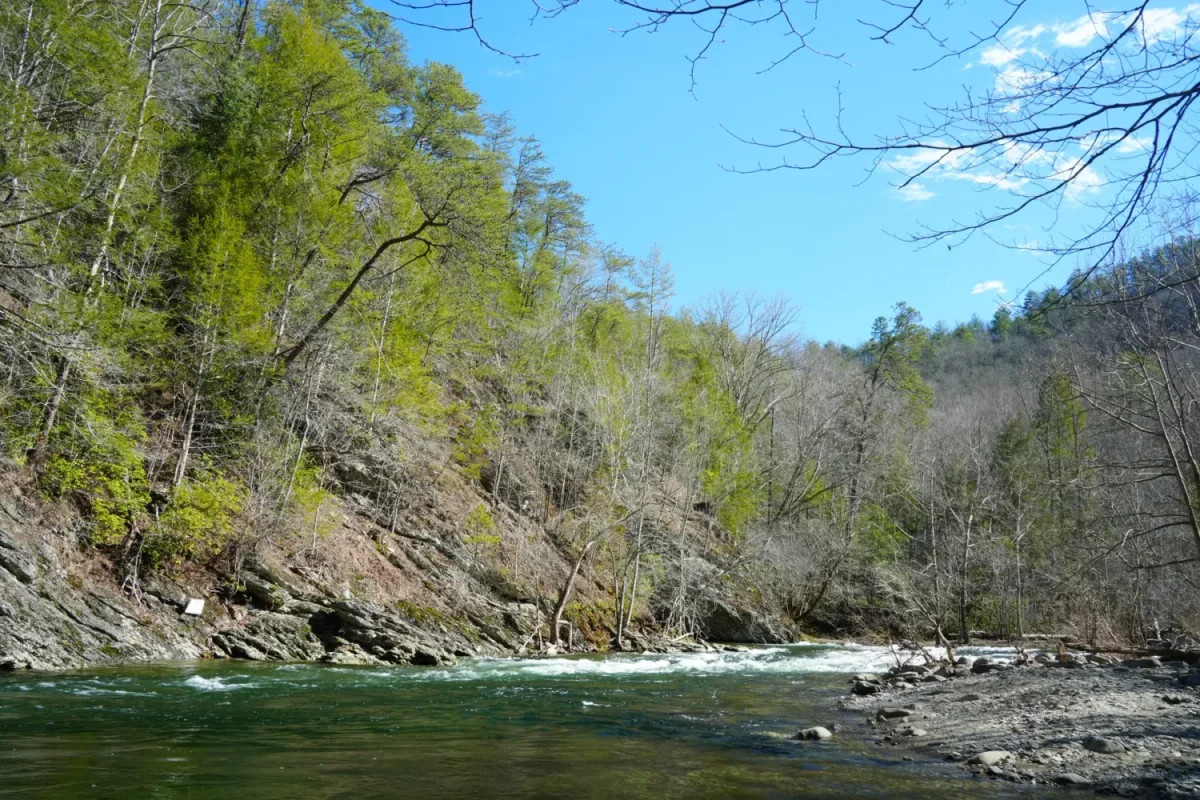 Townsend Wye river in the spring