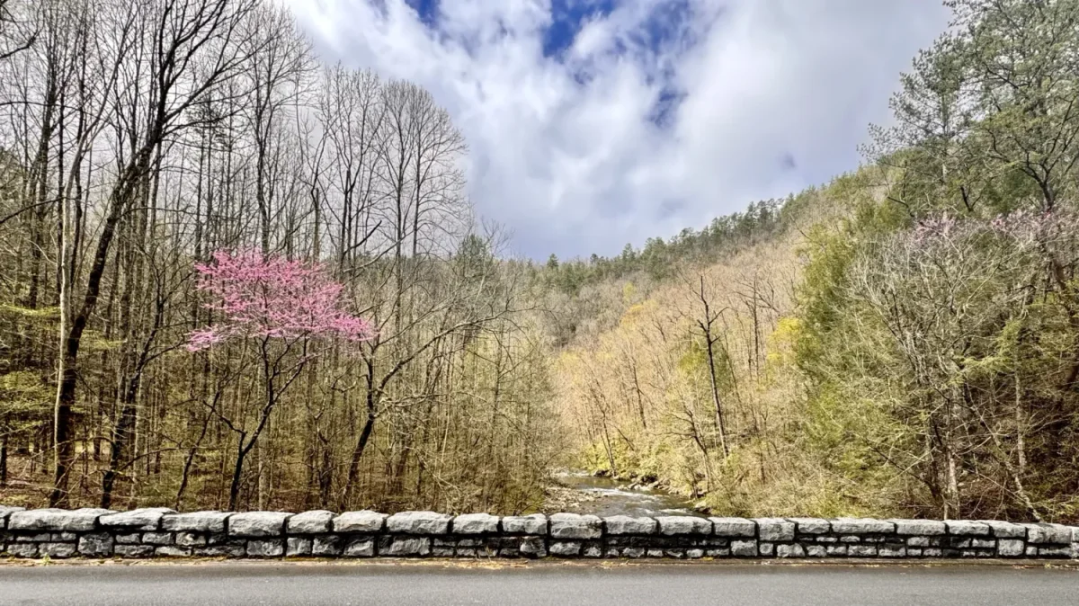 Townsend Wye River Bridge