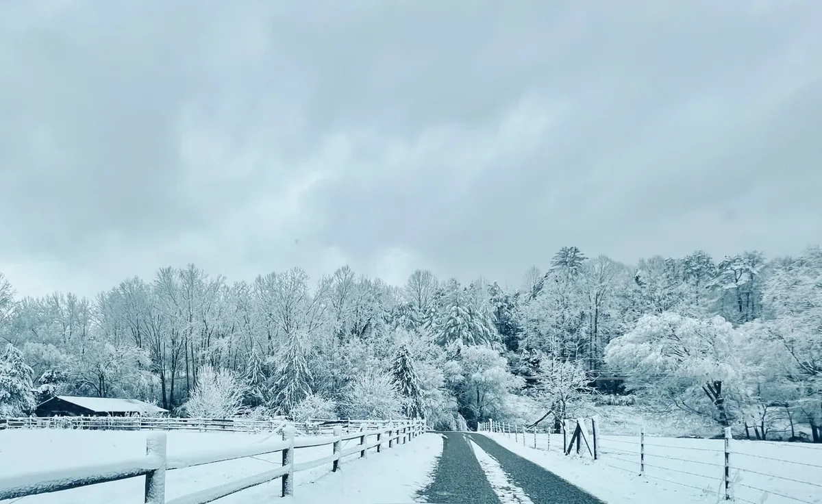 Snowy gravel road near Townsend, TN
