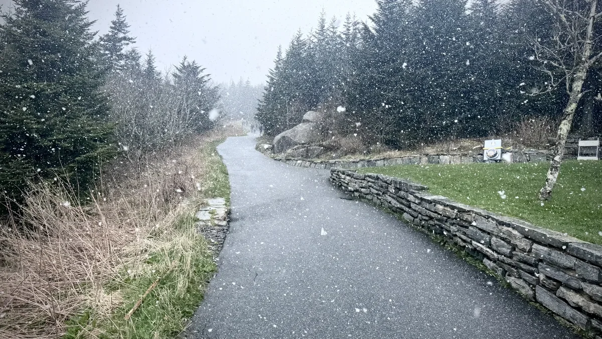clingman dome snow