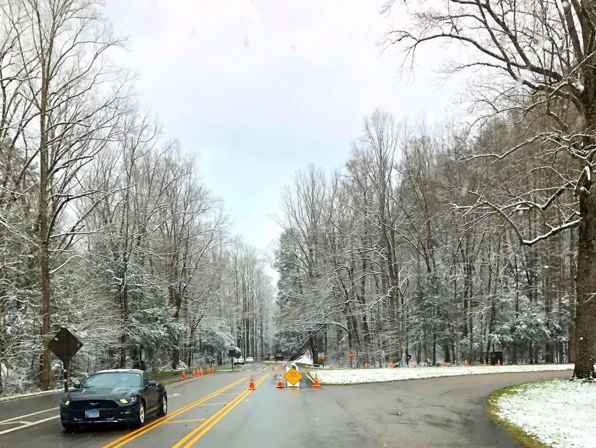 Where To See Snow In Tennessee 6 newfound gap road road closure