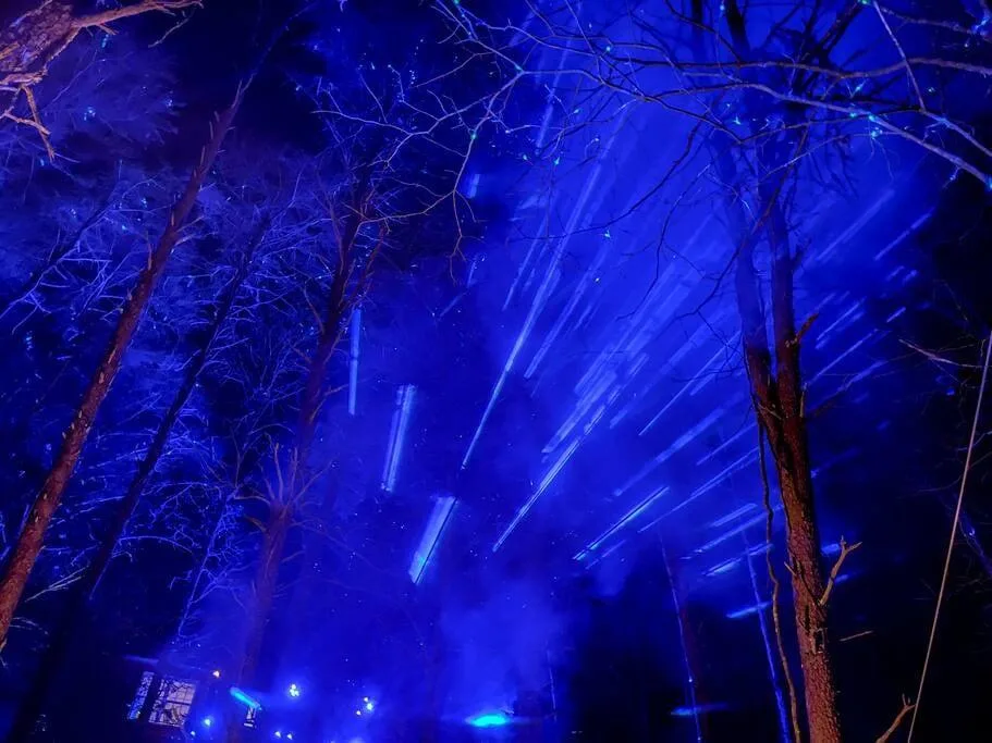 Laser light show in a forest