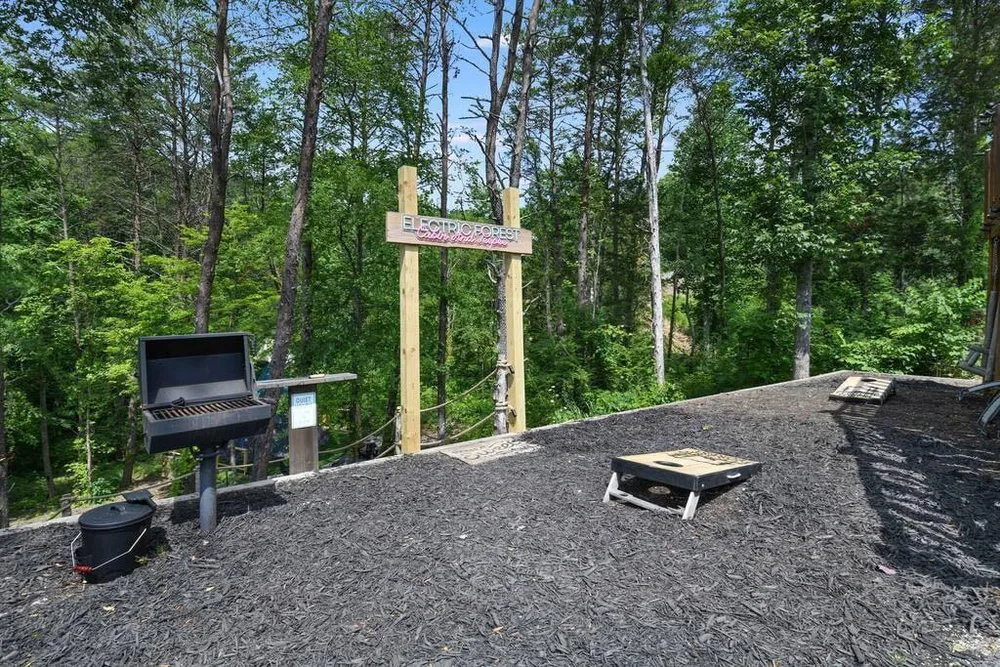 Grilling area surrounded by trees