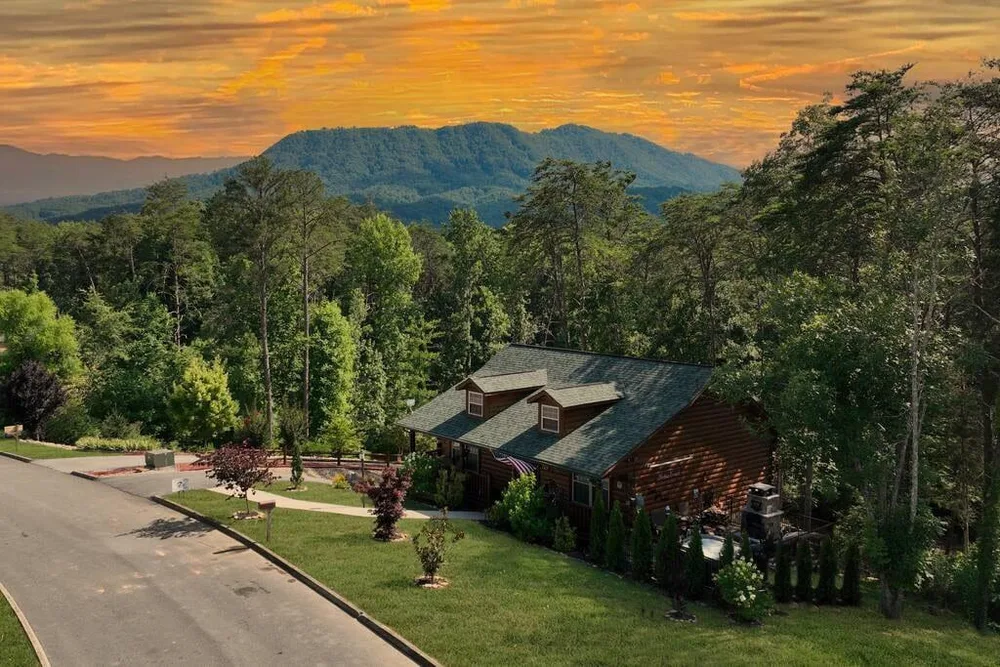 Mountain cabin surrounded by lush trees