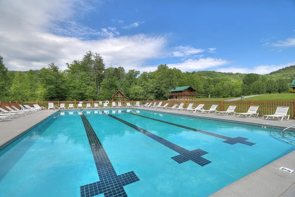 Swimming pool surrounded by wooded area