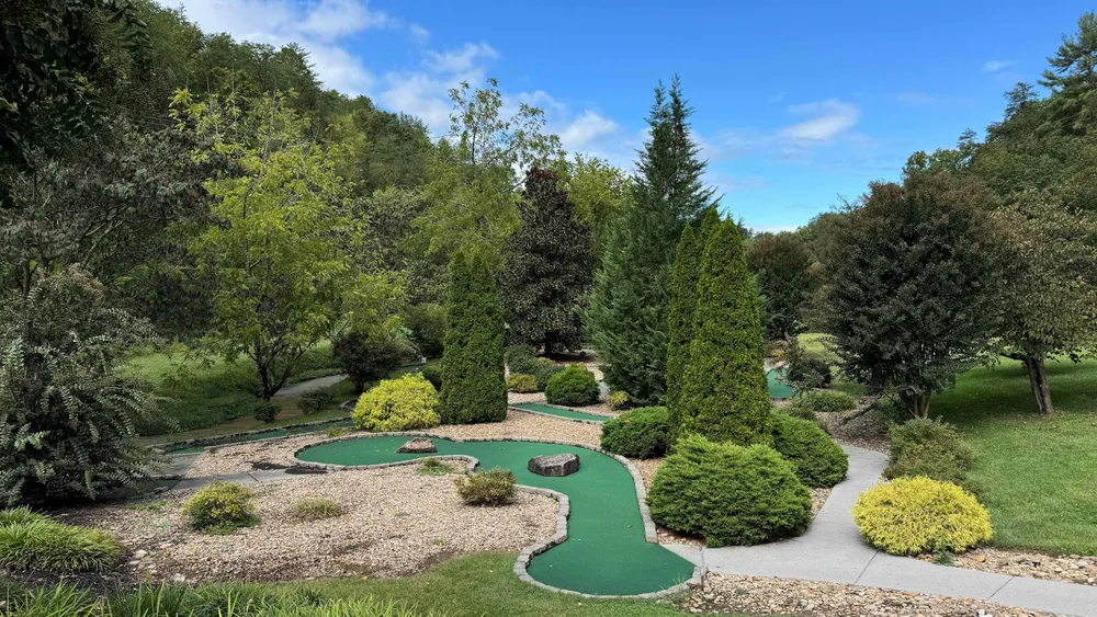 Mini-golf course surrounded by greenery
