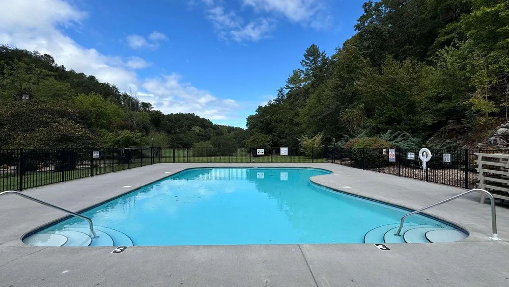Swimming pool surrounded by forested area