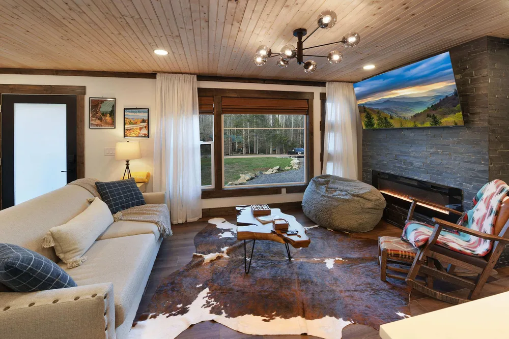 Cozy living room with contemporary decor