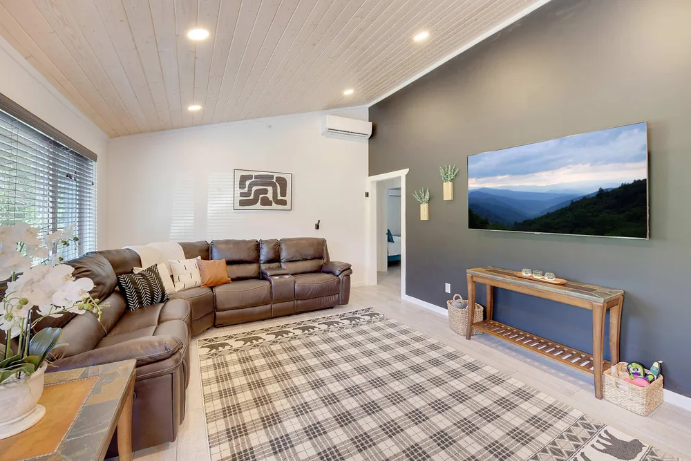 Cozy living room with modern decor