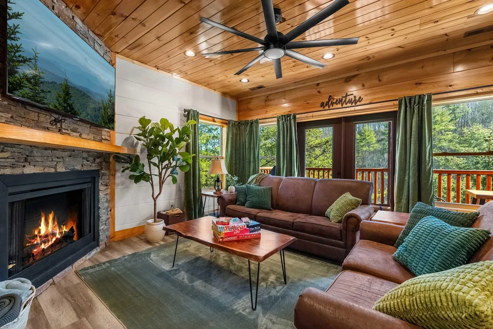 Cozy living room with fireplace and view