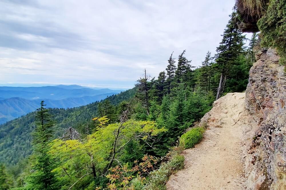 Mt LeConte trail approach in the Smokies